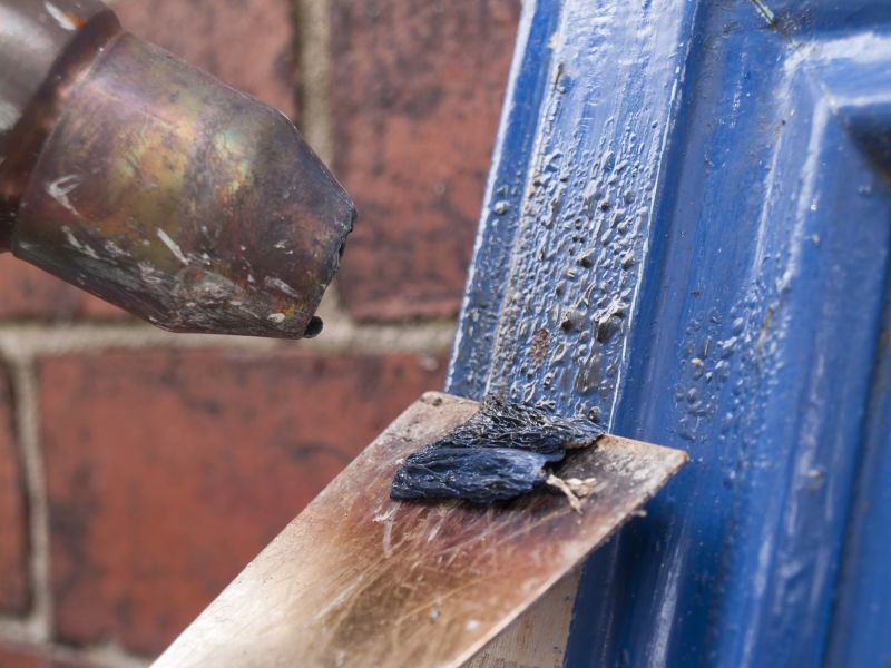 Paint Removal Service