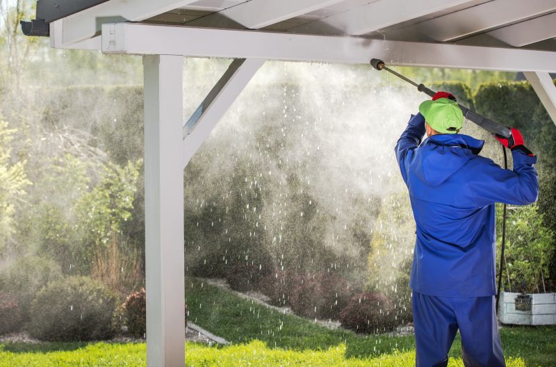 Porch Paint Removal