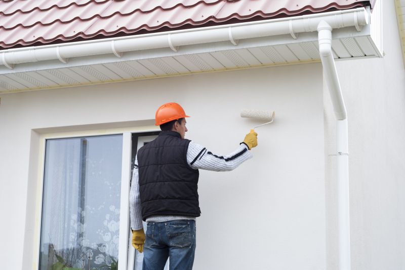 Cladding Painting in Fort Collins, CO