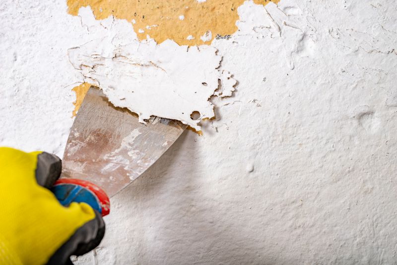 Specialty Paint Removal Experts